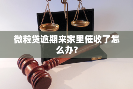 讨债黄英华含义：揭秘债务追收领域的专业力量